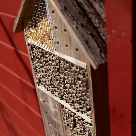 Glampinghuette 아파트 게오르겐탈