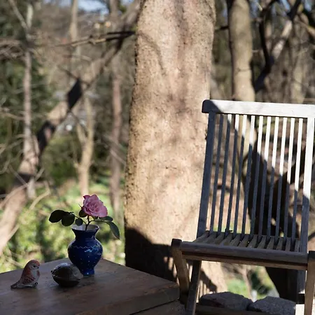 Glampinghuette 아파트