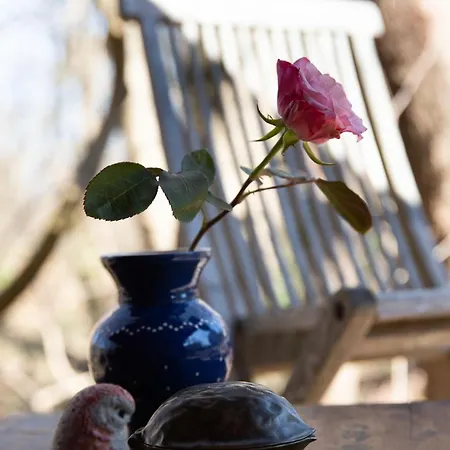 Glampinghuette 아파트 *