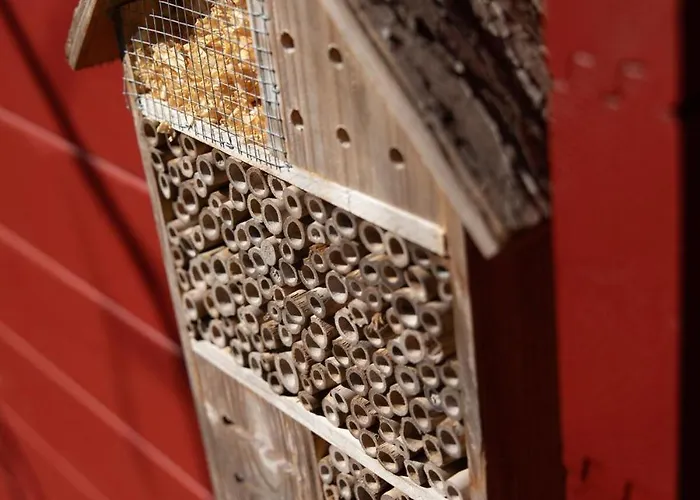 Glampinghuette Daire Georgenthal (Thuringia)