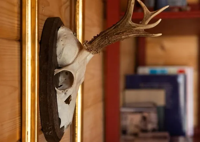 Glampinghuette * Georgenthal (Thuringia)