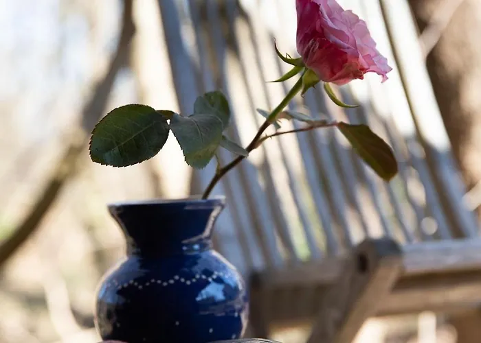 Glampinghuette Daire *